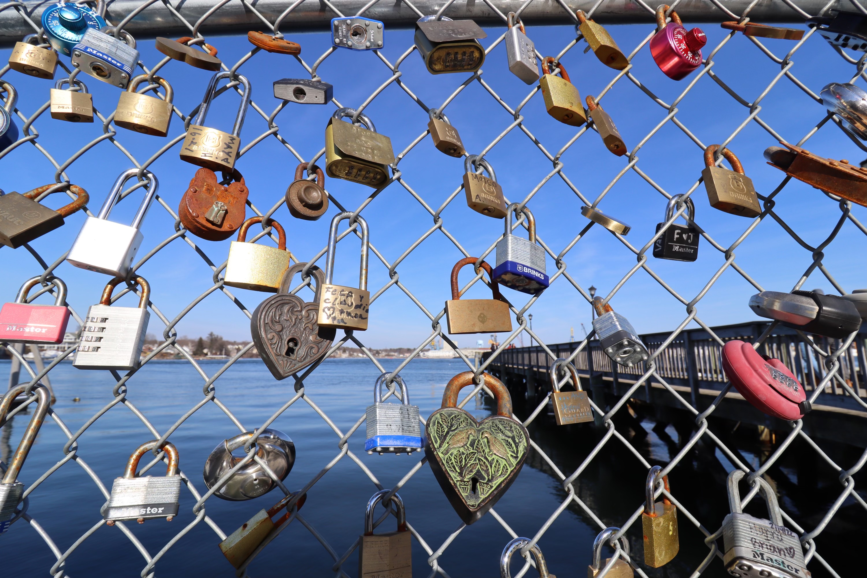 Padlocks attached to a chain-link fence
